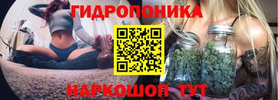хмурый Малоярославец