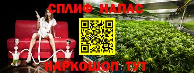 хмурый Малоярославец