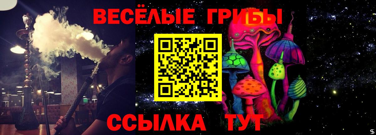 Саратов  Псилоцибиновые грибы Psilocybe  Галлюциногенные грибы GOLDEN TEACHER  Вход с VPN 